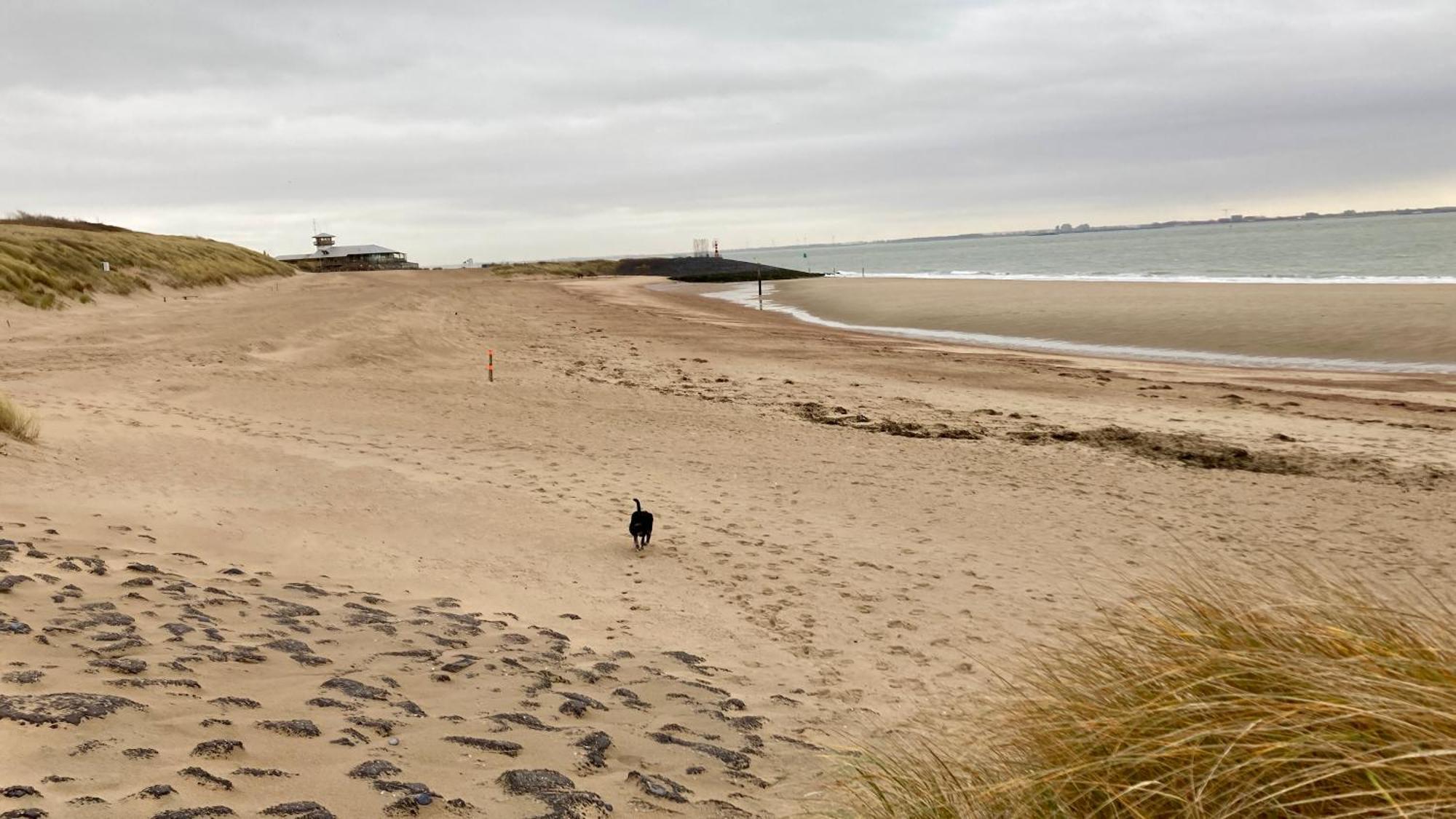 Costa Linda B&B Vlissingen Dış mekan fotoğraf