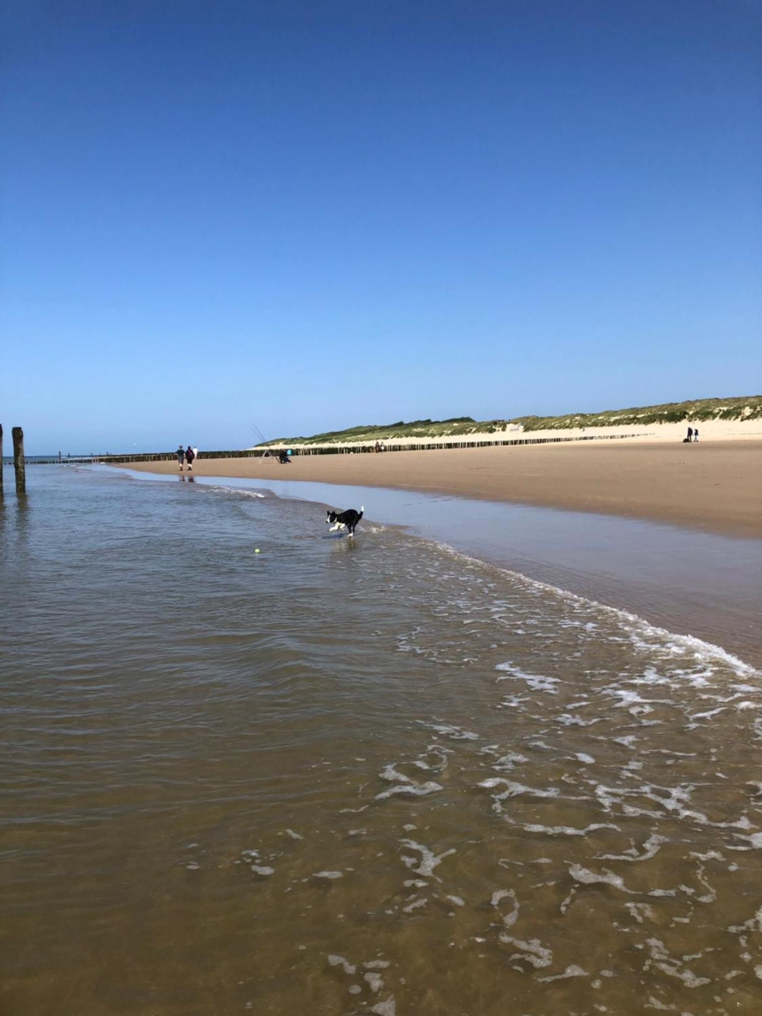 Costa Linda B&B Vlissingen Dış mekan fotoğraf